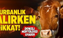 Denizli Müftülüğü Uyardı! Kurbanlık Alırken Bunlara Dikkat Edin!
