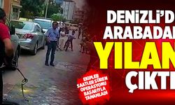 Denizli’de Arabadan Yılan Çıktı! Ekipler Seferber Oldu