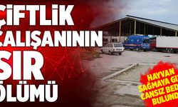 Denizli’de Çiftçilik Çalışanı Adamın Sır Ölümü!
