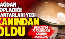 Denizli’de Dağdan Topladığı Mantarları Yiyen Kadın Öldü