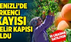 Denizli’de Erkenci Kayısı Çiftçinin Yeni Gelir Kapısı Oldu