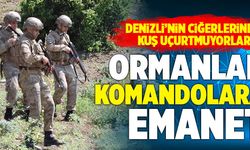 Denizli’de Komandolar Ormanlarda Devriye Atıyor!