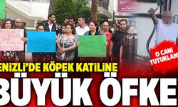 Denizli’de Komşusunun Köpeğini Öldüren Adam Tutuklandı! Hayvanseveler Ayaklandı