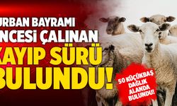 Denizli’de Kurban Bayramı Öncesi Çalınan Kayıp Sürü Bulundu!