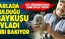 Denizli’de Tarlada Bulduğu Baykuşu Evladı Gibi Bakıyor