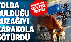 Denizli’de Yolda Bulduğu Buzağıyı Motosikletin Sepetine Koyup Karakola Götürdü