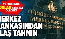Yıl Sonunda Dolar Kaç Lira Olacak? Merkez Bankasından Flaş Tahmin