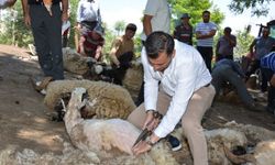 Babadağ’da Yüzlerce Yıllık Gelenek Yaşatılıyor