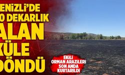 Denizli’de 50 Dekarlık Alan Küle Döndü