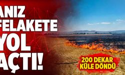 Denizli’de Anız Felakete Yol Açtı! 200 Dekar Alan Yandı