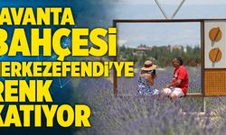 Lavanta Bahçesi Merkezefendi'ye Renk Katıyor