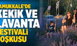 Pamukkale’de Kekik Ve Lavanta Festivali Coşkusu