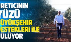 Üreticinin Yüzü Büyükşehir Destekleri İle Gülüyor