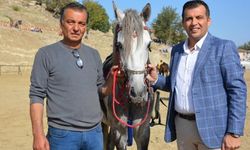 Babadağ Rahvan Atlarıyla Geliyor! Rahvan At Yarışlarının Tarihi Belli Oldu