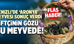 Denizli’de ‘Aronya’ Meyvesi Sonuç Verdi… Çiftçinin Gözü Bu Meyvede!