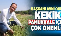 Pamukkale Belediye Başkanı Avni Örki; “Kekik Pamukkale İçin Çok Önemli”