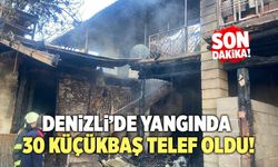 Denizli’de Yangında 30 Küçükbaş Telef Oldu!