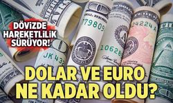 Dolar Kaç Lira?  17 Mayıs 2023 Döviz Kuru  - Dolar, Euro, Sterlin Kaç TL?