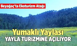 Yumaklı Yaylası Yayla Turizmine Açılıyor