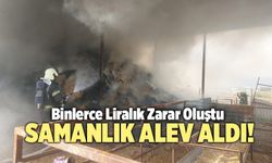 Denizli’de Samanlık Alev Aldı!