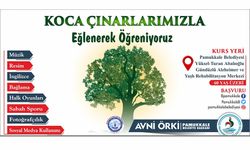 Pamukkale Belediyesi’nden Koca Çınarlara Müjde