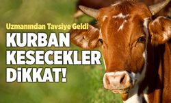 Kurban Kesecekler Dikkat! Uzmanından Tavsiye Geldi