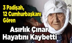 3 Padişah, 12 Cumhurbaşkanı Gören Asırlık Çınar Hayatını Kaybetti