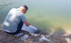 Buldan’da 50 Bin Balık Suya Bırakıldı