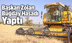 Başkan Osman Zolan Buğday Hasadı Yaptı