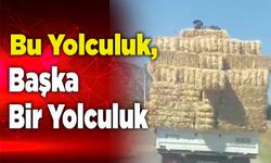 Bu Yolculuk Başka Bir Yolculuk