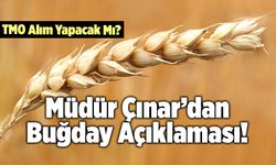 TMO Alım Yapacak Mı? Müdür Çınar’dan Buğday Açıklaması!