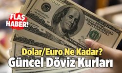 1 DOLAR KAÇ TL? | 4 Temmuz 2023 Döviz Kuru - Euro, dolar, sterlin, kaç TL?