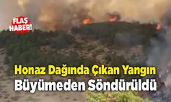 Honaz Dağında Çıkan Yangın Büyümeden Söndürüldü