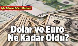 Dolar Ne Kadar Oldu?  13 Temmuz Döviz Kuru  - Dolar, Euro, Sterlin, Kaç TL?