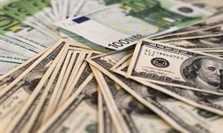 Dolar Kaç TL? Euro Kaç Lira Oldu? Güncel Döviz Kurları