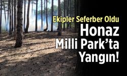 Honaz Milli Park’ta Yangın! Ekipler Seferber Oldu