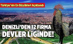 Türkiye’nin En Büyükleri Açıklandı! Denizli’den 12 Firma Devler Liginde