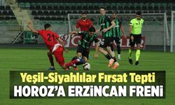 Denizlispor’a Erzincan Freni! 1-1