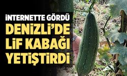 Denizli’de Lif Kabağı Yetiştirdi