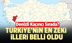 Türkiye’nin En Zeki İlleri Belli Oldu! Denizli Kaçıncı Sırada?