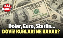 Dolar, Euro ve Sterlin Ne Kadar Oldu? Tıkla, Öğren