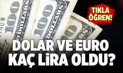 Dolar ve Euro Kaç Lira Oldu? Güncel Döviz Kurları