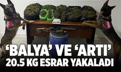 ‘Balya’ Ve ‘Artı’ Uyuşturucu Operasyonunda 20.5 Kg Esrar Yakaladı