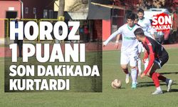 Denizlispor 1 Puanı Son Dakikada Kurtardı