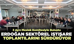 Erdoğan Sektörel İstişare Toplantılarını Sürdürüyor