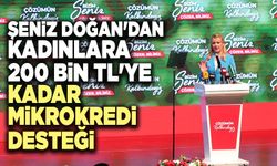 Şeniz Doğan'dan Kadınlara 200 Bin Tl'ye Kadar Mikrokredi Desteği