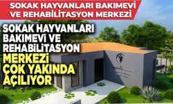 Sokak Hayvanları Bakımevi Ve Rehabilitasyon Merkezi Çok Yakında Açılıyor