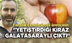 Fanatik Fenerbahçeli üreticinin "Yetiştirdiği Kiraz Galatasaraylı Çıktı"