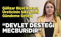 Gülizar Biçer Karaca: “Devlet Desteği Mecburidir”