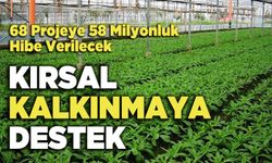 Kırsal Kalkınmaya Destek 68 Projeye 58 Milyonluk Hibe Verilecek